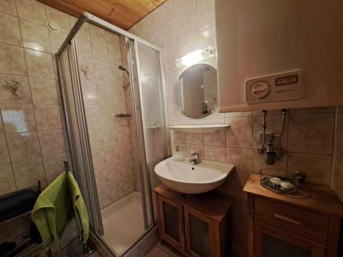een badkamer met een wastafel en een douche bij Apartment Bergpanorama by Interhome in Oberau