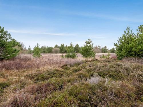 pole trawy z drzewami w tle w obiekcie Holiday Home Elpida - 2km from the sea in Western Jutland by Interhome w mieście Lakolk