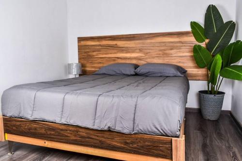 a bed with a wooden headboard and a potted plant at Nomad Casa en la mejor ubicación in Hermosillo