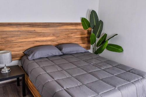 een bed met een houten hoofdeinde en een plant bij Nomad Casa en la mejor ubicación in Hermosillo