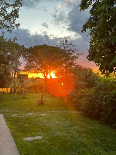 una puesta de sol en un parque con un árbol y césped en Villa degli Olmi en Castel San Pietro Terme