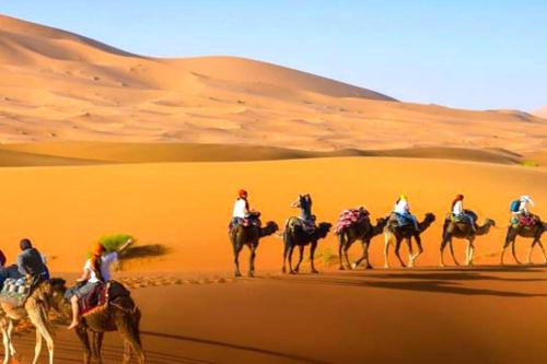 a group of people riding camels in the desert at Sahara Safari Camp in Merzouga