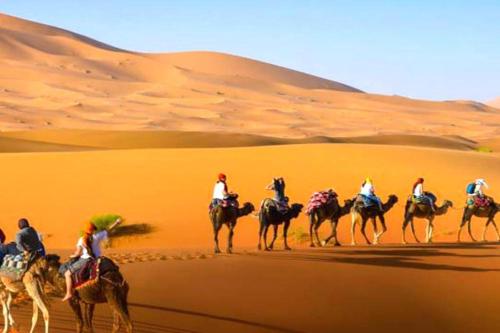 a group of people riding camels in the desert at Sahara Luxurious Camp in Merzouga