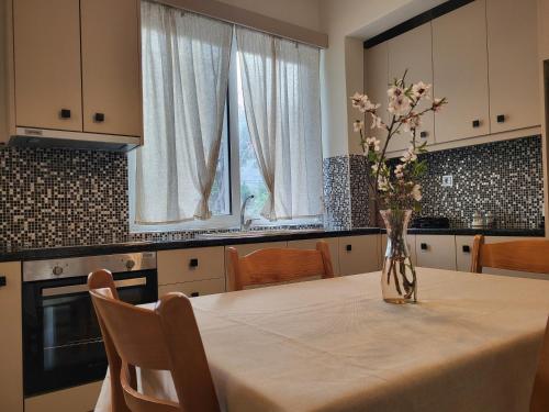 Kuchyň nebo kuchyňský kout v ubytování Avla Apartment