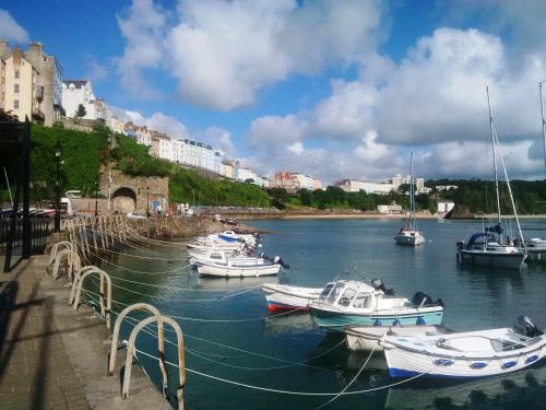 un grupo de barcos están atracados en un puerto en Glenholme Apartments en Tenby