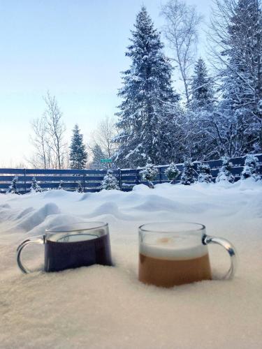 two glasses of beer sitting in the snow at Zaciszny Zakątek Zawoja in Zawoja