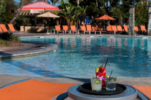 Paradise Point Resort & Spa Image