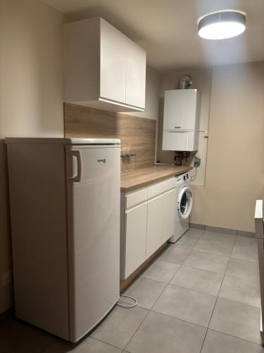 Il comprend une cuisine équipée d'un réfrigérateur et d'un lave-linge/sèche-linge. dans l'établissement Appartement plein centre Épinal, à Épinal
