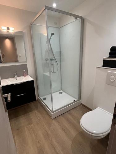 une salle de bain avec une douche, des toilettes et un lavabo dans l'établissement Appartement plein centre Épinal, à Épinal