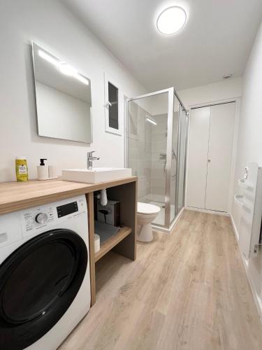 une salle de bain avec une machine à laver et un lavabo dans l'établissement Maison indépendante avec jardin, à Pessac