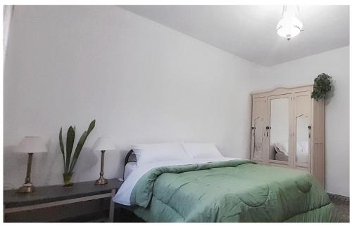 um quarto com uma cama com um cobertor verde em LA CASA DE LILI Y JAVIER em Villa María