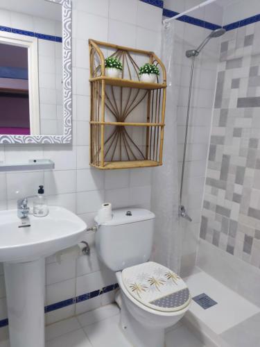 a bathroom with a toilet and a sink and a shower at Estudio naturista 1 in Vera