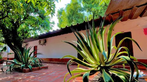 Un jardín fuera de Hotel BJ Curumani