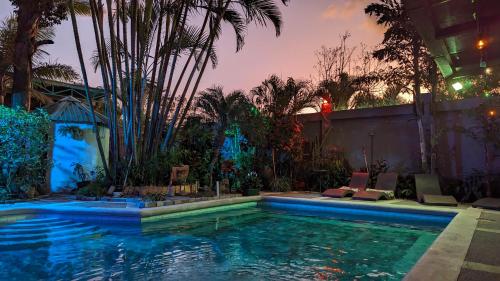 a swimming pool in a backyard with palm trees at Colours LGBTIQ Boutique Hotel & Hostal Coliving in San José