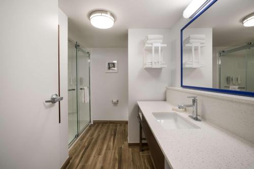 La salle de bains est pourvue d'un lavabo, d'un miroir et d'une douche. dans l'établissement Hampton Inn McHenry, à McHenry