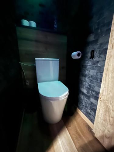 a white toilet in a bathroom with a brick wall at MONFas APARTMENT PROVENCE IN PRAGUE in Prague