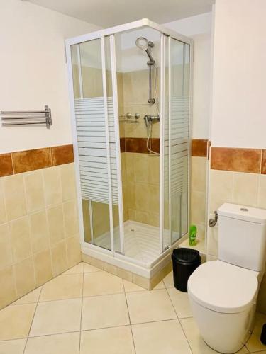 une salle de bain avec douche et toilettes dans l'établissement Suite Eugenie Hyper center 3 rooms 2 bedrooms, à Nice