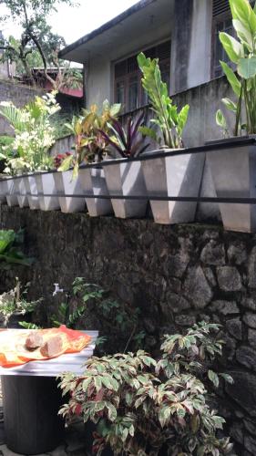 a stone wall with a table with food on it at Saman Villa in Kadawata