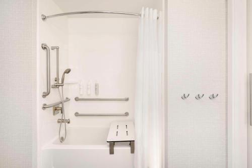 ein Bad mit Dusche und Duschvorhang in der Unterkunft Hampton Inn Clovis, Nm in Clovis