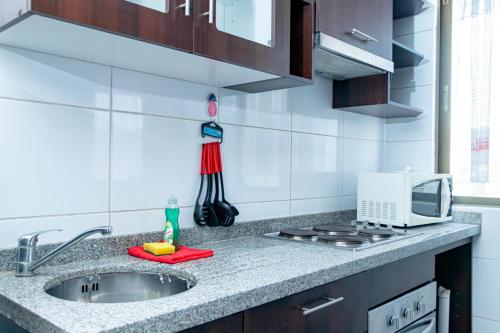 a kitchen counter with a sink and a microwave at Departamentos Amoblados Torre Tagle in Santiago