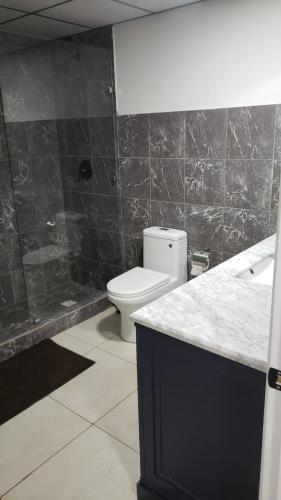 a bathroom with a toilet and a sink and a shower at Hotel Boutique Grand Cru in Santa Cruz