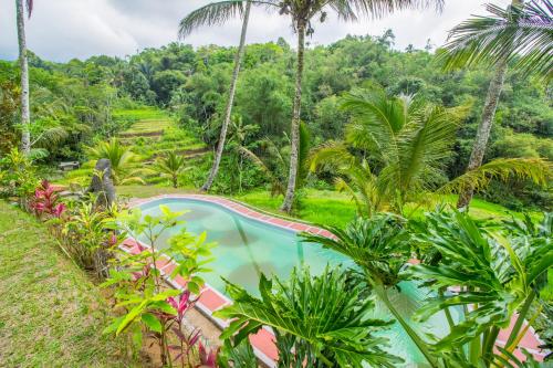 a pool in the middle of a jungle with palm trees at Pesona Bali Ecolodge by AGATA in Jatiluwih