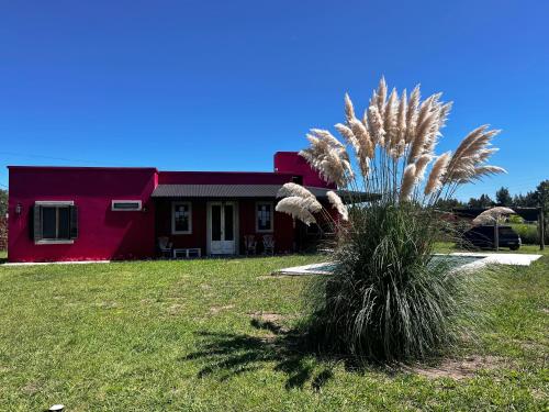 a red house with a palm tree in front of it at Pasos de la Naturaleza in San Andrés de Giles