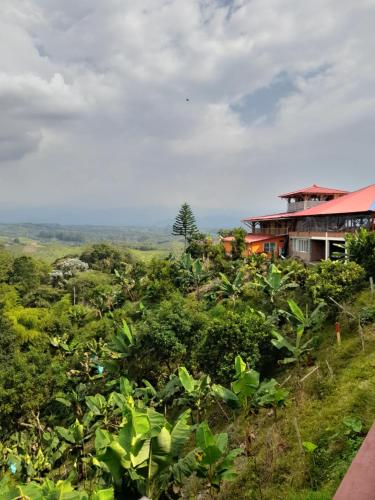 una casa al lado de una colina con vegetación en Finca Turística Alto Bonito Filandia, en Filandia