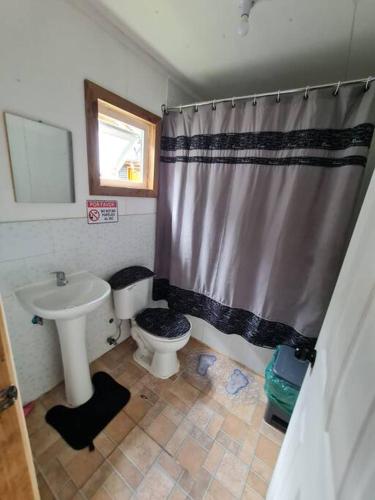 ein Badezimmer mit einem Waschbecken, einem WC und einem Duschvorhang in der Unterkunft Cabaña M.Patagonia in Puerto Puyuhuapi