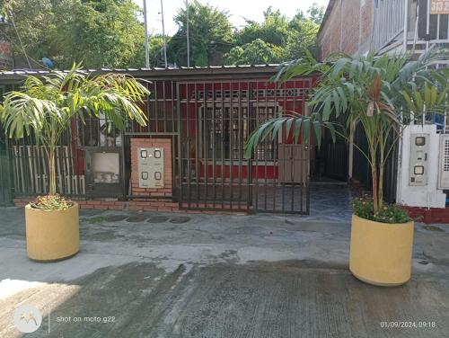 two potted trees in front of a gate at Casa con calor de hogar con aire acondicionado in Neiva