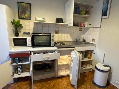 une petite cuisine avec un évier et un micro-ondes dans l'établissement Zelda, à Besançon