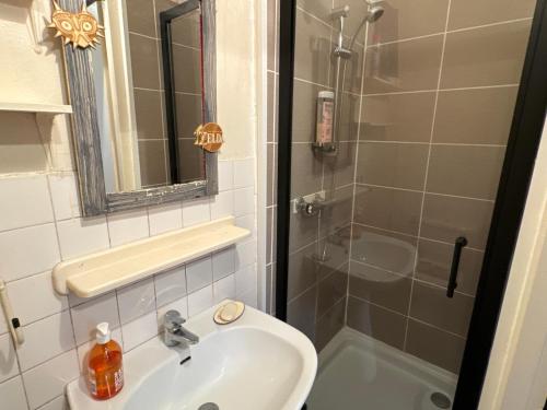 une salle de bain avec un lavabo et une douche dans l'établissement Zelda, à Besançon
