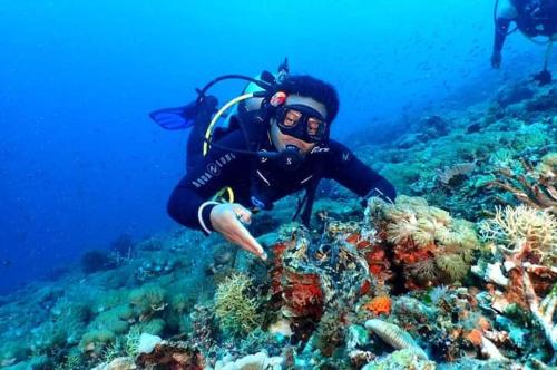 a person in a diving suit on a coral reef at Swan Homestay in Labuhanpandan