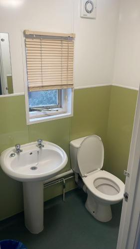 a bathroom with a sink and a toilet and a window at The Fox in Bristol