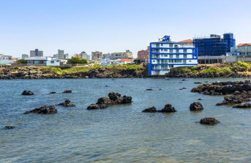 a body of water with rocks in the water at On The Sea Pension in Jeju