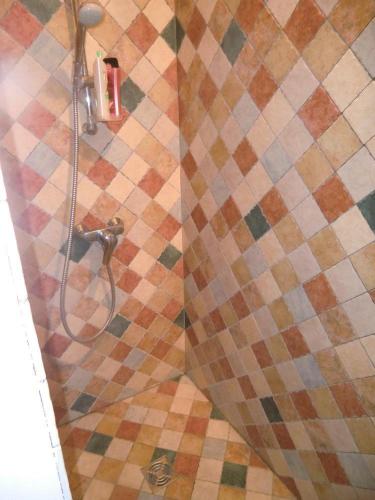 La salle de bains est pourvue d'une douche et de carrelage. dans l'établissement La voliere, à Toulon