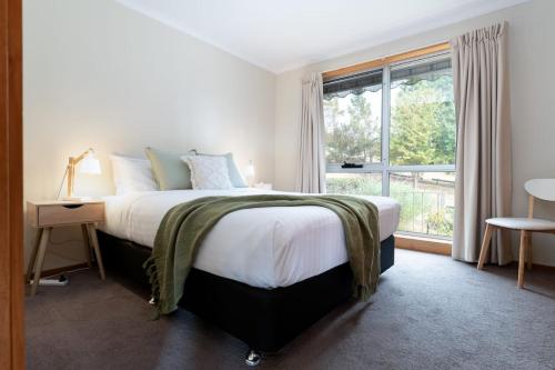 een slaapkamer met een groot bed en een raam bij Beautiful Sunny Home: Close to the CBD & Gorge in Royal Park