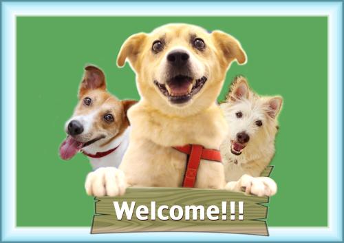 a group of three dogs holding a welcome sign at のんびれっじ七草 in Nasushiobara