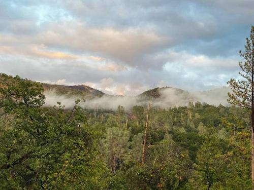 a view of a forest filled with trees and clouds at Yosemite's Scenic Hideaway in Midpines