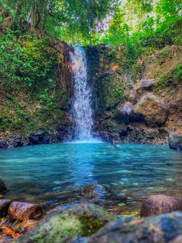 a waterfall in the middle of a pool of water at Clove Tree Hill in Blimbing