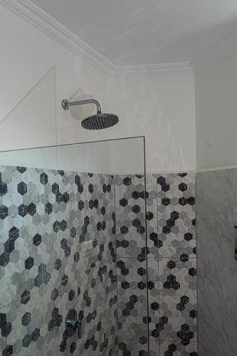 a shower with a shower head in a bathroom at Komodo Suites Downtown in Labuan Bajo