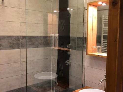une salle de bain avec une douche avec des toilettes et un lavabo dans l'établissement Charmant studio cabine avec mezzanine au centre de Morzine, idéal pour 6 personnes - FR-1-524-125, à Morzine