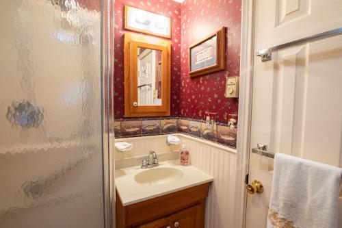 W łazience znajduje się umywalka i lustro. w obiekcie Lake Moraine Home #3 Near Colgate University w mieście Hamilton