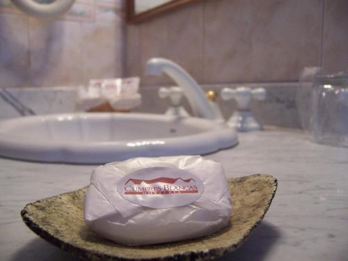 a bathroom sink with a bag of toilet paper on a counter at Hostería Cumbres Blancas in Esquel