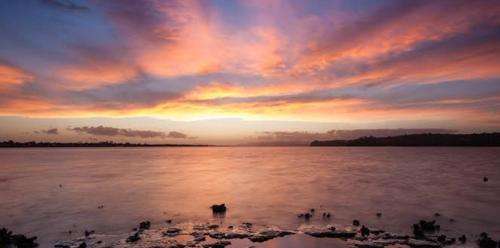 a group of people standing in the water at sunset at Delightful little house & Chateau Charme Suite in Auckland