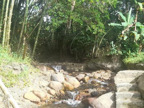 un petit ruisseau d'eau avec des rochers et des arbres dans l'établissement Hotel Campestre Gualiva, à La Vega