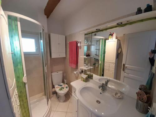 une salle de bain avec un lavabo, des toilettes et une douche dans l'établissement Petit paradis a 3mn de la plage Clim Garage, à Sanary-sur-Mer