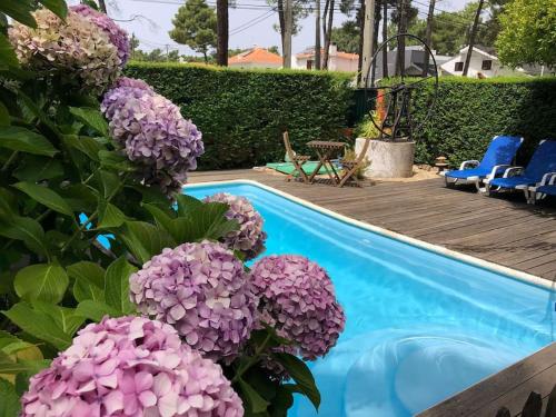een bos paarse bloemen naast een zwembad bij La Villa Lisboa: Maison de vacances in Aroeira