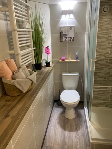 une salle de bain avec toilettes et douche dans l'établissement O ' Garden et sa terrasse, à Bonsecours