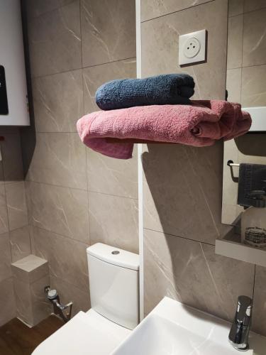 - une salle de bains pourvue de serviettes roses et bleues sur une étagère au-dessus des toilettes dans l'établissement APPART'HOTEL CASA Patricia, à Béthune